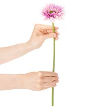 Artikel Künstliche Gerbera Blume 47cm Lila aus Kunststoff und Metall 6St