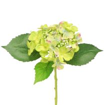 Artikel Künstliche Hortensien Grün Blüten Blätter L43cm 2St