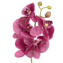 Artikel Künstliche Orchideen Lila 56cm Dreier-Set für Wohnraumdekoration