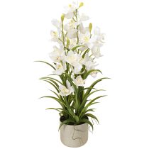 Artikel Künstliche Orchideen im Topf mit weißen Blüten H80cm
