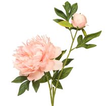 Artikel Künstliche Pfingstrosen Rosa Paeonia Lachs L60cm 2St