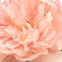 Artikel Künstliche Pfingstrosen Rosa Paeonia Lachs L60cm 2St