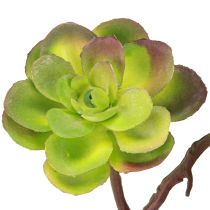 Artikel Künstliche Sukkulenten mit Stiel Grün Lila Sortiert 32cm 2St