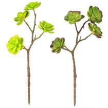 Artikel Künstliche Sukkulenten mit Stiel Grün Lila Sortiert 32cm 2St