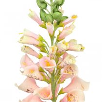 Künstliche Blume Fingerhut Lachs Kunstblume Stielblume H90cm