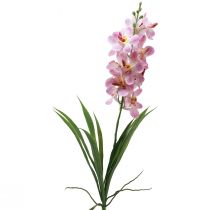 Artikel Künstliche Orchidee Pink Weiß Kunstblume Orchidee 73cm