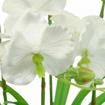 Künstliche Orchideen Kunstblumen im Topf Weiß 60cm