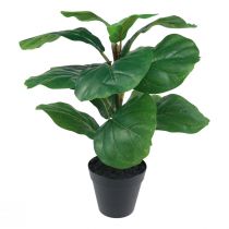 Artikel Künstliche Topfpflanze Ficus Kunstpflanze im Topf 42cm