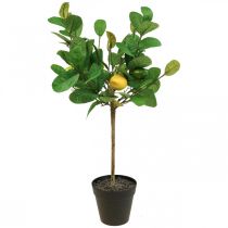 Artikel Künstlicher Zitronenbaum im Topf Zitronenbäumchen H57cm