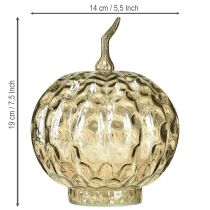 Artikel Kürbis Deko Glas Glaskürbis Tischdeko Herbst Ø14cm H19cm
