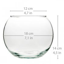 Artikel Kugelvase Glas Vase klar Runde Tischvase Blumenvase Ø18cm H14cm