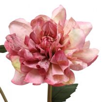 Artikel Künstliche Dahlie Pink mit Knospe, H57cm, Seidenblume