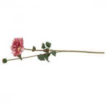 Artikel Künstliche Dahlie Pink mit Knospe, H57cm, Seidenblume