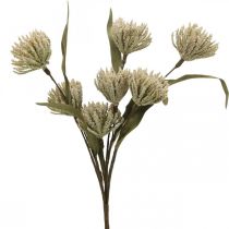 Kunstblume mit 6 Blüten beflockt Beige Grün 3er-Bund H38cm