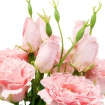 Kunstblumen Lisianthus Rosa künstlich Seidenblumen 50cm 5St