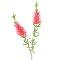 Artikel Künstliche Blumen Rot Karminrote Zylinderputzer 70cm 3St