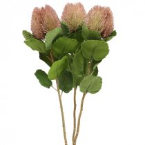 Kunstblumen, Banksia, Proteaceae Weiß-Lila L58cm H6cm