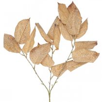 Artikel Kunstpflanze Herbstdeko Zweig Blätter weiß gewaschen L70cm
