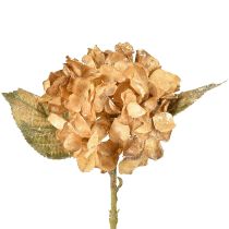 Artikel Kunstpflanze Hortensie vertrocknet Drylook Herbstdeko L33cm