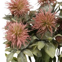 Kunstpflanzen Färberdistel Dekozweig Distelzweig Distel Rosa 4St