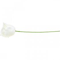 Artikel Kunstrosen Creme Wachsrosen Deko Rosen Wachs Ø6cm 18 St