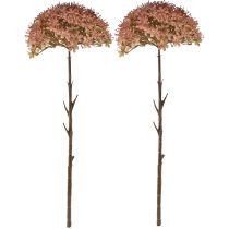 Artikel Künstlicher Blütenzweig Herbst Braun-Rot 45cm 2 Stück