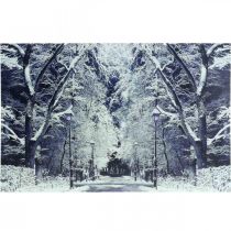 LED Bild Winterlandschaft Park mit Laternen LED Wandbild 58x38cm