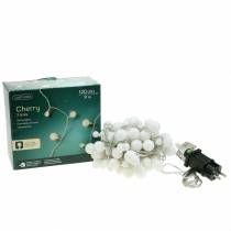 Artikel LED-Lichterkette Cherry Warmweiß 9m 120LED