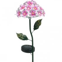 Solar-Blume, LED-Gartendeko, Deko-Chrysantheme Rosa L55cm Ø15cm