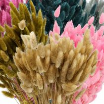 Lagurus Getrocknet Hasenschwanzgras Farbig 65-70cm 100g