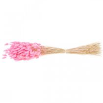 Artikel Lagurus Getrocknet Hasenschwanzgras Pink Deko Trockenblumen 65-70cm 100g