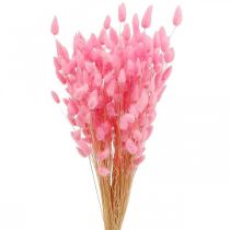Artikel Lagurus Getrocknet Hasenschwanzgras Pink 65-70cm 100g