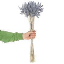 Artikel Lagurus getrocknet Hasenschwanzgras Grau 60 cm 75 g für Dekoration und Trockensträuße
