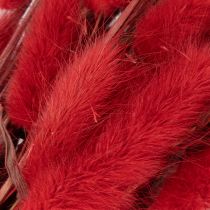 Artikel Lagurus Trockenblumen Bund Rot 70cm 100g für Innenbereich
