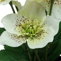 Lenzrose Nieswurz Christrose Topf Kunstblumen H25cm Weiß