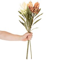 Artikel Künstliche Protea Leucadendron mit langem Stiel 65 cm, 3er-Set, Creme, Gelb, Orange