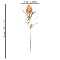 Artikel Künstliche Protea Leucadendron mit langem Stiel 65 cm, 3er-Set, Creme, Gelb, Orange
