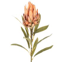 Artikel Künstliche Protea Leucadendron mit langem Stiel 65 cm, 3er-Set, Creme, Gelb, Orange