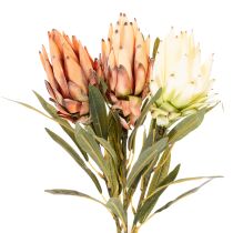 Artikel Künstliche Protea Leucadendron mit langem Stiel 65 cm, 3er-Set, Creme, Gelb, Orange