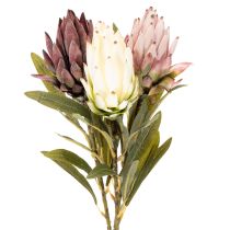 Artikel Protea Kunstblumen Leucadendron 65cm 3er-Set in Creme, Bordeaux und Rosa