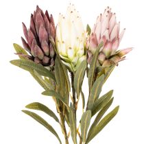 Artikel Protea Kunstblumen Leucadendron 65cm 3er-Set in Creme, Bordeaux und Rosa