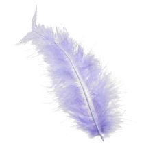 Artikel Lila Federn Flauschig Bastelbedarf Frühling 5–10cm 20g