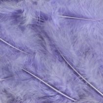 Artikel Lila Federn Flauschig Bastelbedarf Frühling 5–10cm 20g