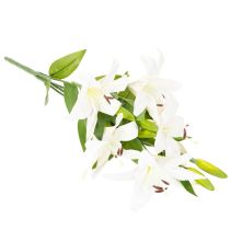 Artikel Lilien Kunstblume aus Kunststoff mit 6 weißen Blüten, Höhe 66 cm