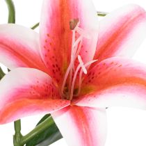 Artikel Künstliche Lilien aus Polyester im Zweier-Set, Rosa, 67 cm