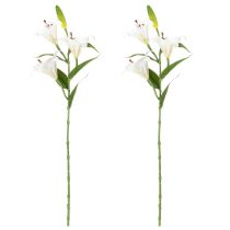 Artikel Künstliche Lilienblumen 66 cm Weiß 2 Stück aus Polyester und Kunststoff für Wohnraumdekoration