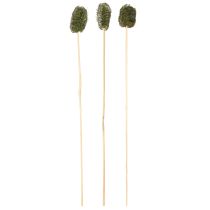 Artikel Luffa klein am Stiel 5–7 cm Dunkelgrün 25 Stück
