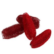 Artikel Luffa klein Rot 50St