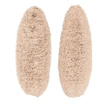 Artikel Luffa Schwämme dekorativ getrocknet vielseitig einsetzbar 20 Stück