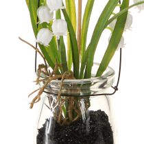 Artikel Maiglöckchen im Glas Künstliche Frühblüher H22cm 3St